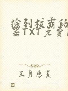 捡到校霸的遥控器TXT免费阅读