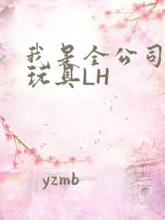 我是全公司发泄玩具LH