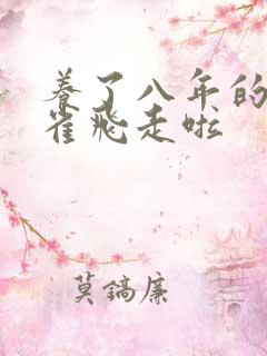 养了八年的金丝雀飞走啦