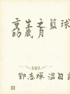 重生之篮球燃烧的岁月