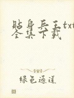 贴身兵王txt全集下载