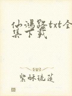 仙鸿路txt全集下载