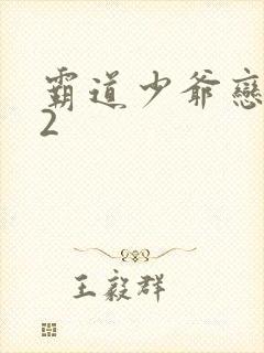 霸道少爷恋上我2