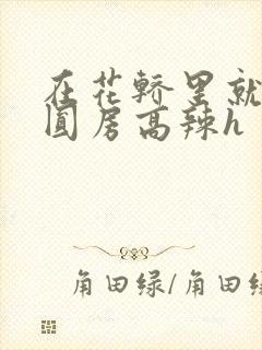 在花轿里就开始圆房高辣h