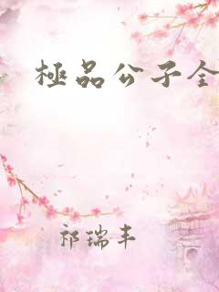 极品公子全集