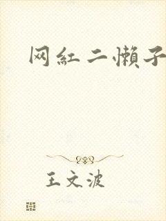 网红二懒子车祸