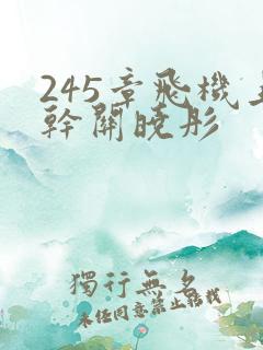 245章飞机上干关晓彤