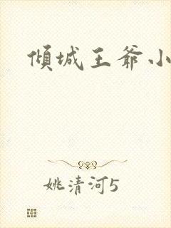 倾城王爷小小妃