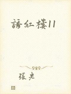 诱红楼11