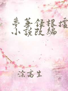 梦华录根据什么小说改编