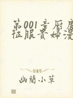 第001章厨房征服贵妇漫画