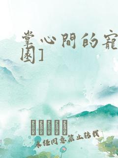 掌心间的宠[校园]