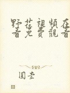 野花视频在线观看免费观看最新章节