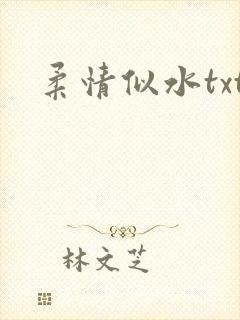 柔情似水txt