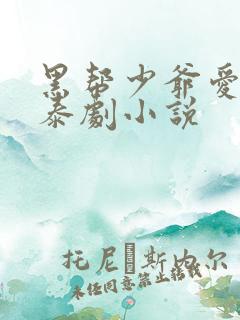 黑帮少爷爱上我泰剧小说