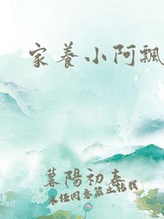 家养小阿飘殿下