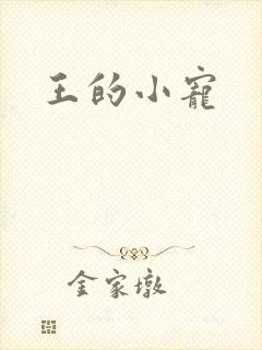 王的小宠