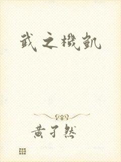 武之机凯