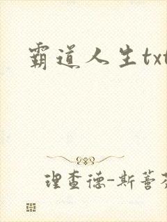 霸道人生txt