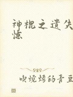 神棍之遗失的记忆