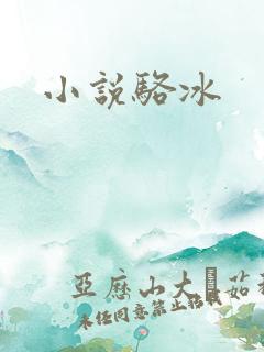 小说骆冰