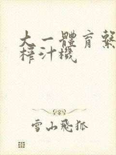 大一体育系精牛榨汁机