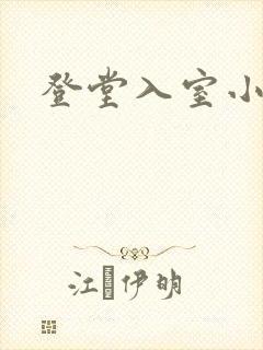 登堂入室小说