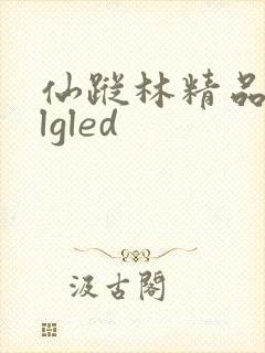 仙踪林精品zzlgled