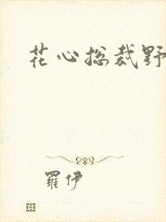 花心总裁野蛮妻