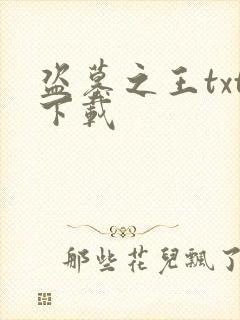 盗墓之王txt下载