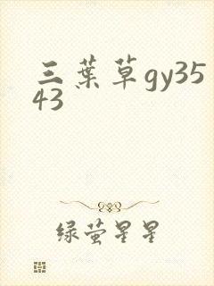 三叶草gy3543