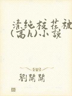 清纯校花被调教(高h)小说