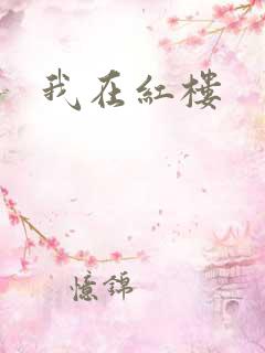 我在红楼