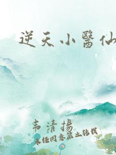 逆天小医仙陈平