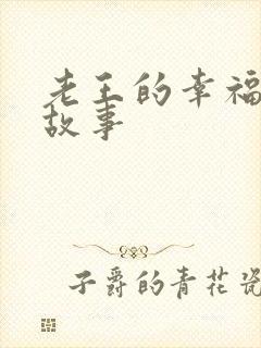 老王的幸福生活故事