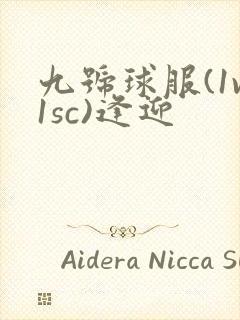 九号球服(1v1sc)逢迎