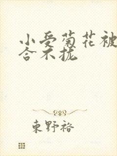 小受菊花被双龙合不拢