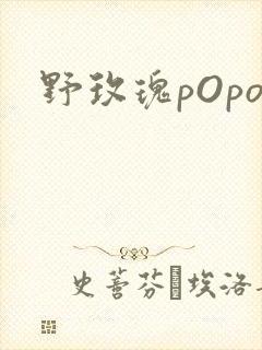 野玫瑰pOpo
