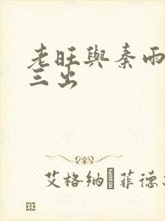 老旺与秦雨三进三出