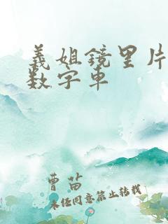 义姐镜里片微博数字车