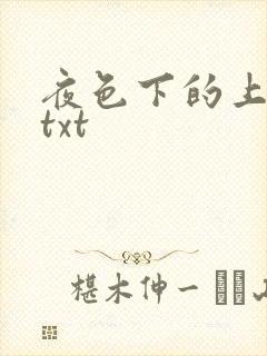 夜色下的上海滩txt
