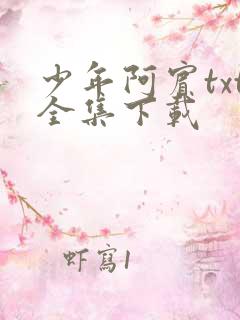 少年阿宾txt全集下载