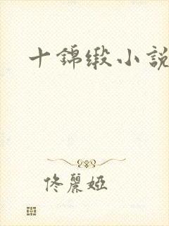 十锦缎小说