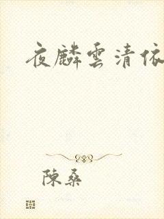 夜麟云清依小说