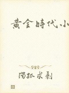 黄金时代小说