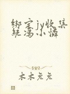 绑定jy收集系统冯小怜