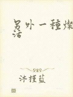 另外一种灿烂生活