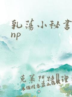 乳荡小秘书高干np