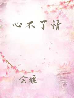 心不了情