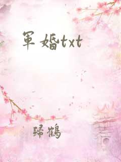 军婚txt